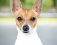 Wednesday Perfect Pride