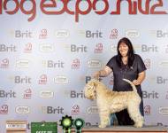 Unesco for Kni-York Gagatek