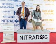 Criss Cross zpod Chlumských hájů