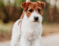 Zumba od Bobří řeky