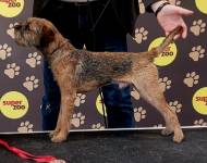 Uptown Funk Borderby's