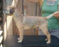 Prim Kira Bělohorský skřítek