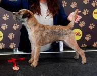 Qill od Paplové cesty