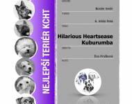 Klub chovatelů teriérů