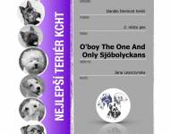 Klub chovatelů teriérů