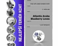 Klub chovatelů teriérů