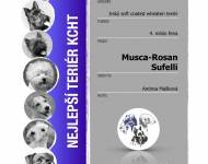 Klub chovatelů teriérů