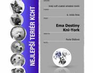 Klub chovatelů teriérů