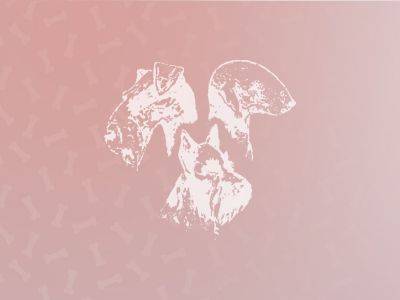 Historical Diamond's My Lover