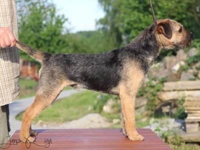 Lafayette du Grand Babin