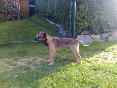 Olan Lukavec Bohemia