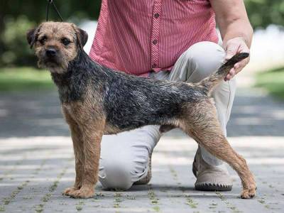 Quentin Fleret Moravia