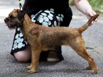 Pirate Princess Kuburumba