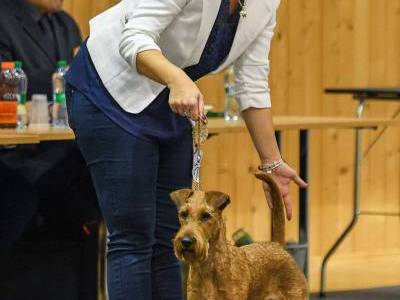 Love z Hodějovských strání