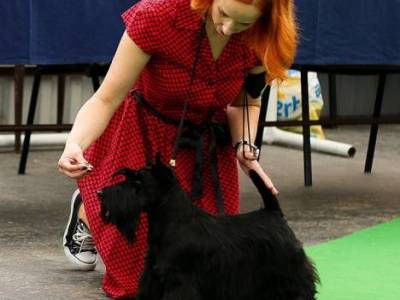 Lucia's Dream Silver Thimbles