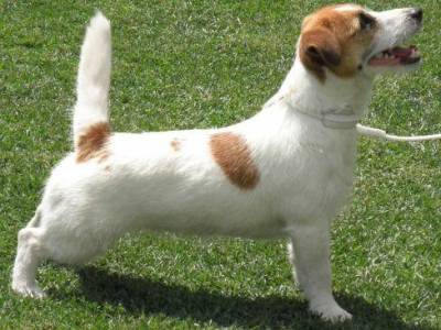 Julia Roberts Linea Luna