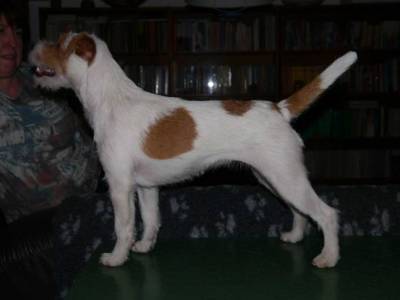 Mona Lisa Černý faun