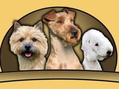 Speciální výstava 2020