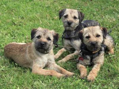 Seminář CECS a SPS