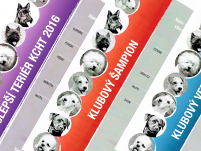 Vydávání diplomů