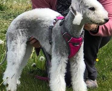 Josephine Slovanský Perun