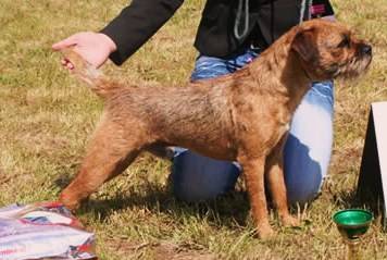 Brigadier Fiery Lucifer