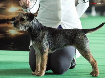 Happy Honey Lovecké Srdce