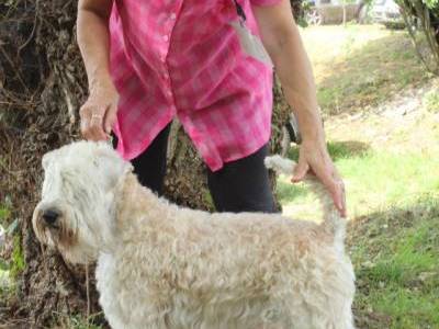 Petite Patricia Kní-York