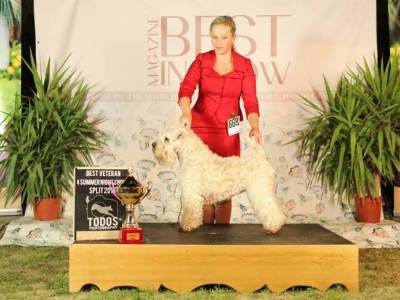 Lovely Sonny Kní-York