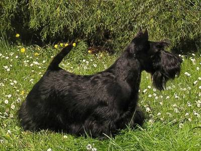 Jan z Klicperova Chlumce