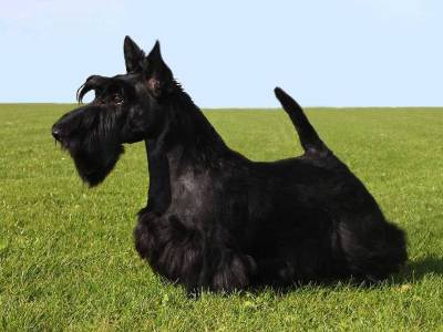 Kate z Klicperova Chlumce