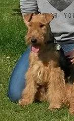 Charisma od Guvernéra