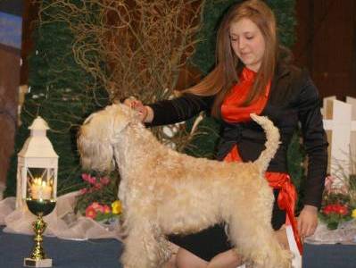 Kiss Me Keissy Kní-York