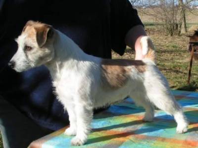 All You Need is Sixi Hawk