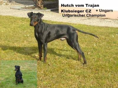 Heda ze Zámecké zahrady