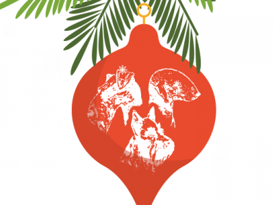 Výstava zrušena!!!