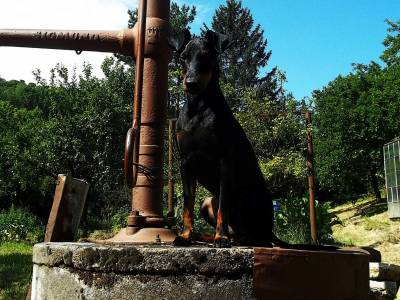 Ayan Alegría de Stupy