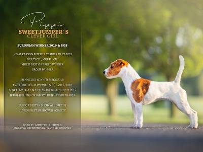 Clever Girl Sweetjumper's