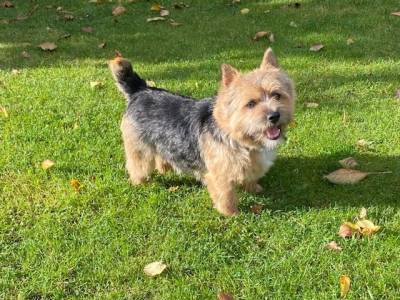 Endy Jagal z Pravčic