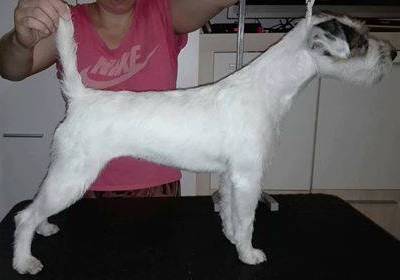 Hessy Kutcher - Chan