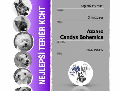 Klub chovatelů teriérů