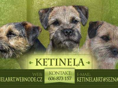 Vrh N Ketinela