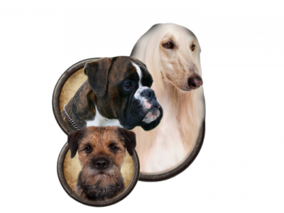 Otevřeno přihlašování