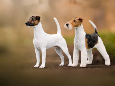 Klubové zkoušky Zlín