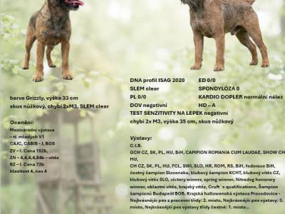 Vrh B od Karlova smrku