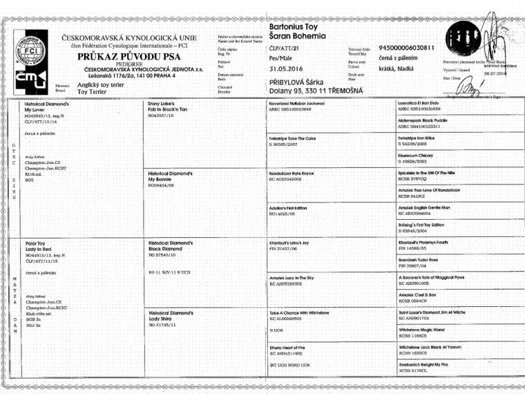 Bartonius Toy Šaran Bohemia