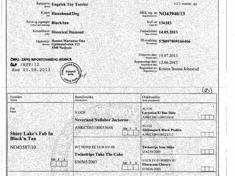 Historical Diamond's My Lover