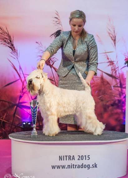 U'Wish Irish Oudrey Kní-York