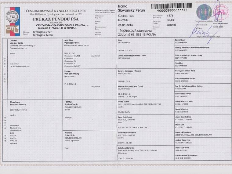 Isaac Slovanský Perun