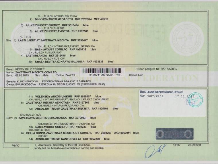 Zavetnaya Mechta Comilfo